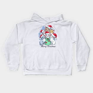 Merry Christmas For Cats lovers Kids Hoodie